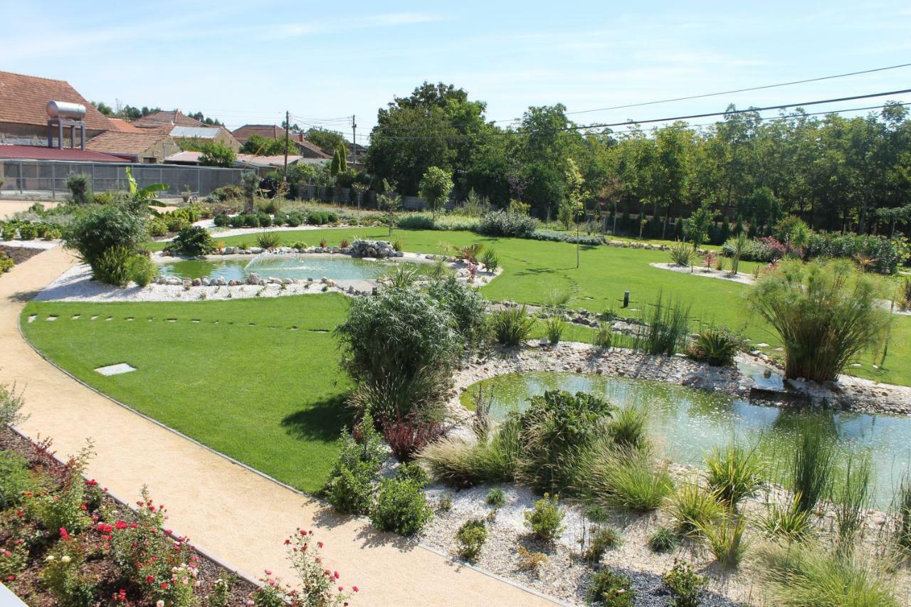 Penzion Casa Da Alzira Anadia Exteriér fotografie
