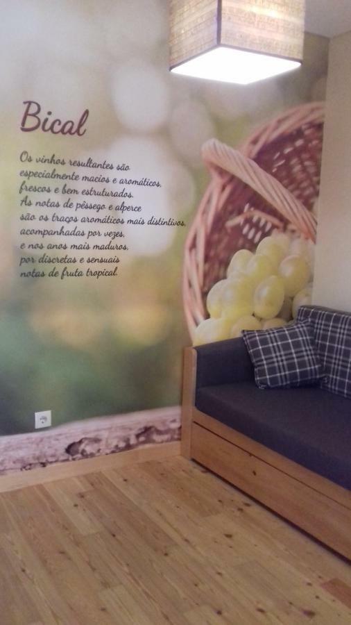 Penzion Casa Da Alzira Anadia Exteriér fotografie